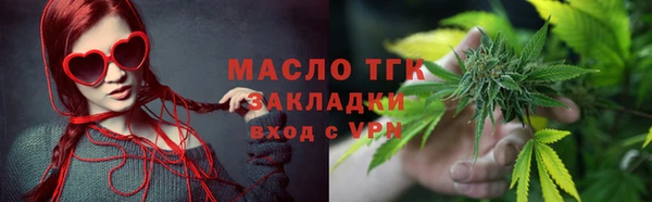 гидра Покачи