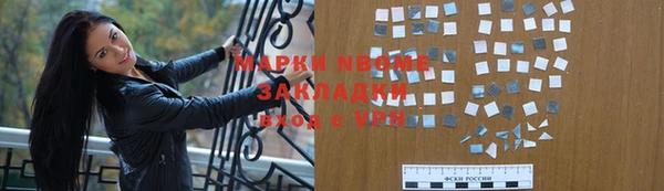 гидра Покачи