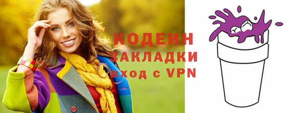 индика Ростов