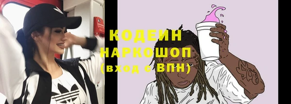 гидра Покачи