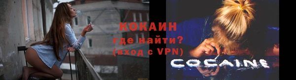 гидра Арсеньев
