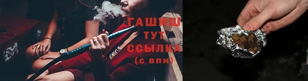 гидра Покачи