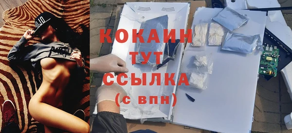 гидра Арсеньев